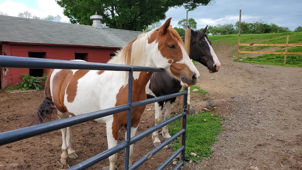 Happy Trails Stables Waymart | 613 Honesdale Rd, Waymart, PA 18472 | Phone: (570) 488-6996