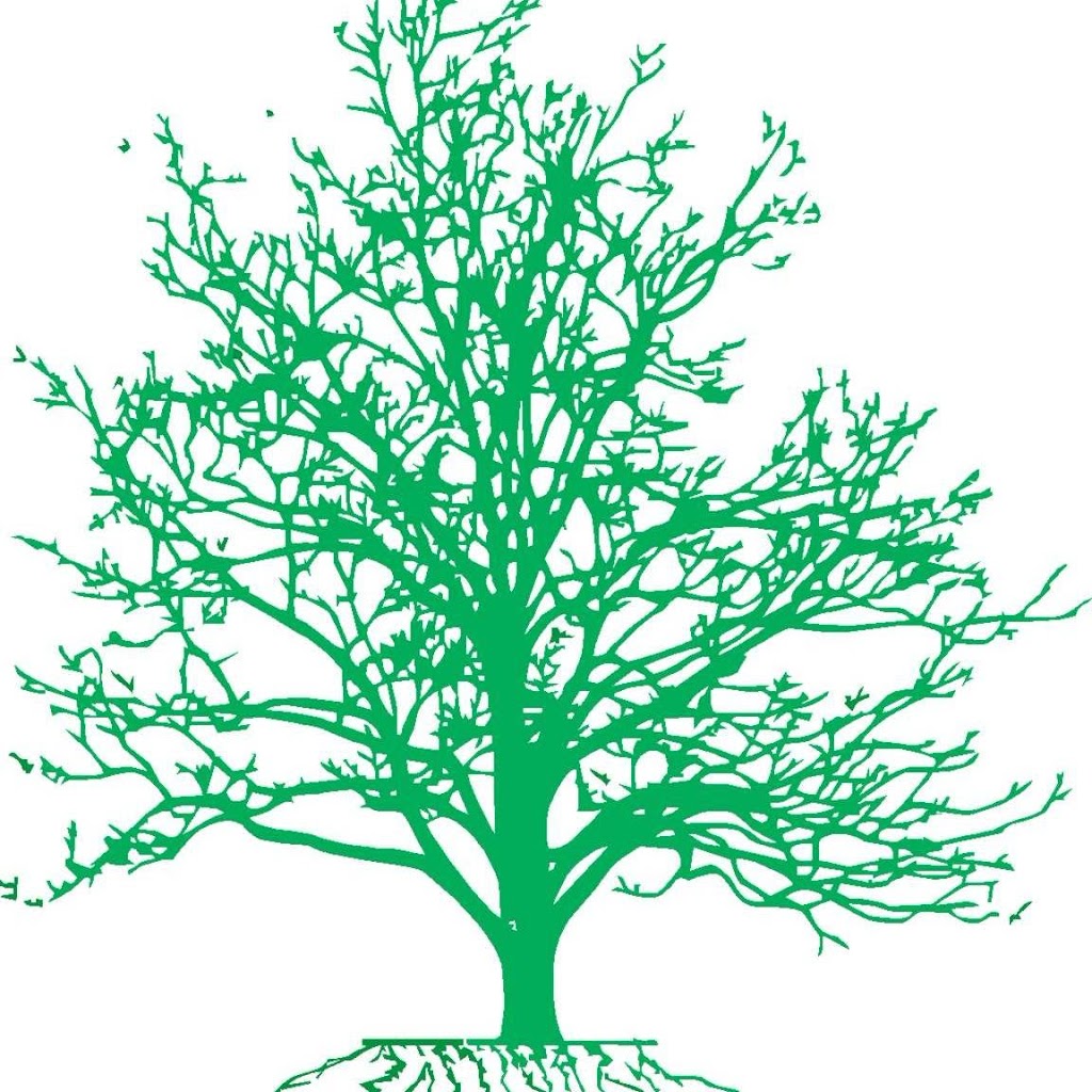 Brummers Tree and Shrub LLC (Brummers Tree Service) | 70 Werah Pl, Oceanport, NJ 07757 | Phone: (732) 870-0391