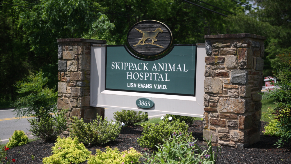 Skippack Animal Hospital | 3865 W Skippack Pike, Skippack, PA 19474 | Phone: (610) 584-6300