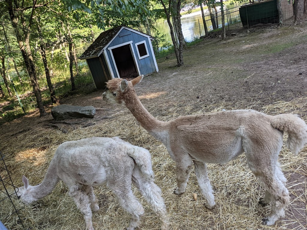 The Petting Zoo at Breezeway Farm | 161 Anawana Lake Rd, Monticello, NY 12701 | Phone: (845) 796-0836