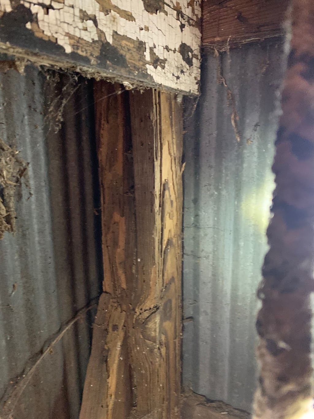Bad Boys Termite & Pest Control | 821 Berrywood Ln, Galloway, NJ 08205 | Phone: (609) 317-5694