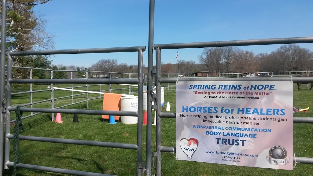SPRING REINS of HOPE LLC (Getting to the Horse of the Matter) | c/o: Hunt Cap Farms, 401 Main St, Three Bridges, NJ 08887 | Phone: (347) 560-3125