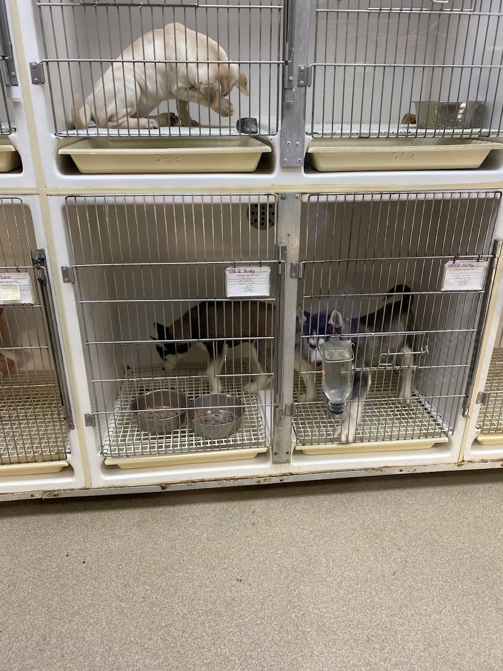 Gentle Jungle Pet Store | 470 Lewis Ave, Meriden, CT 06451 | Phone: (203) 238-0507