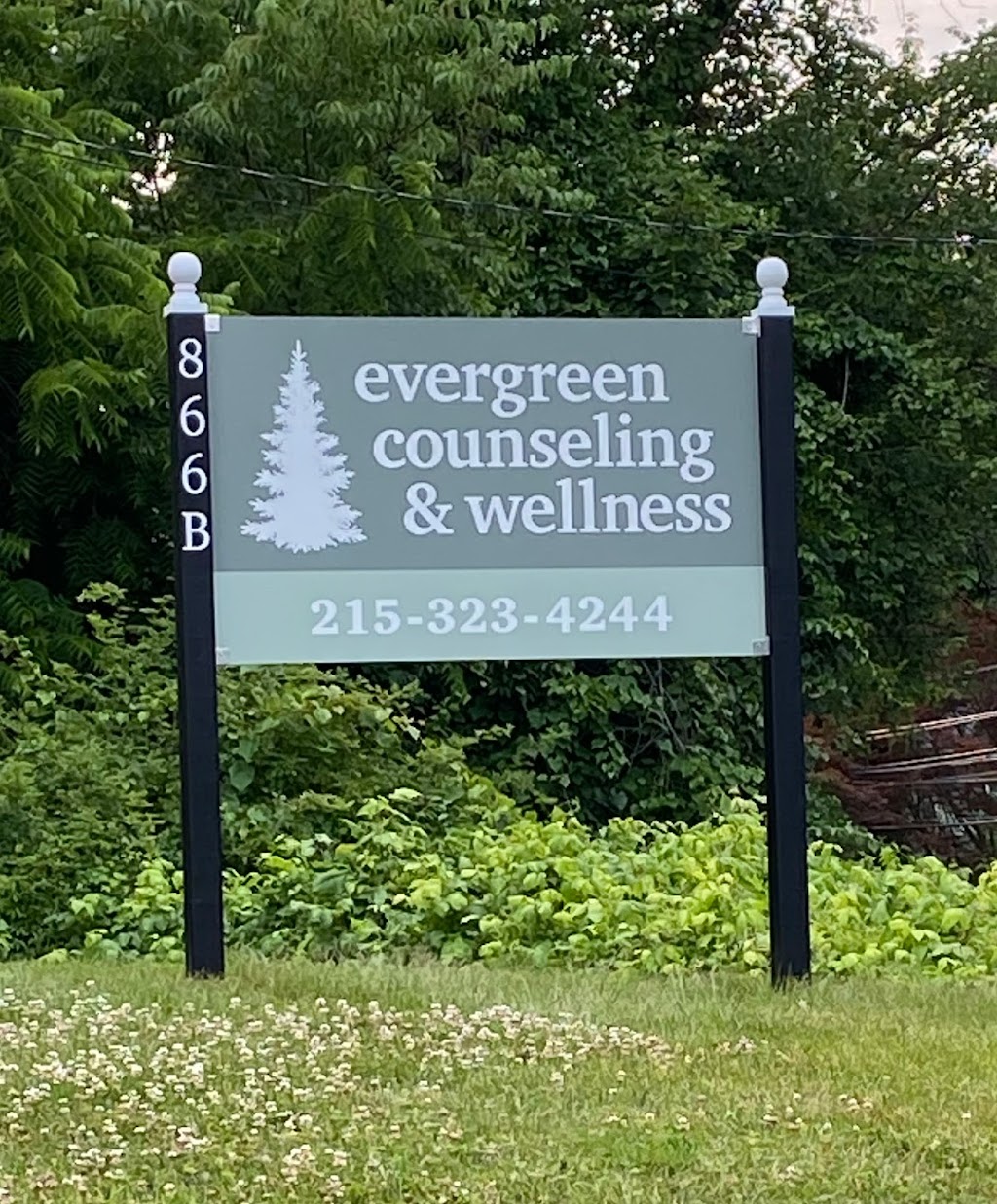 Evergreen Counseling & Wellness | 866 W Bristol Rd, Warminster, PA 18974 | Phone: (215) 323-4244