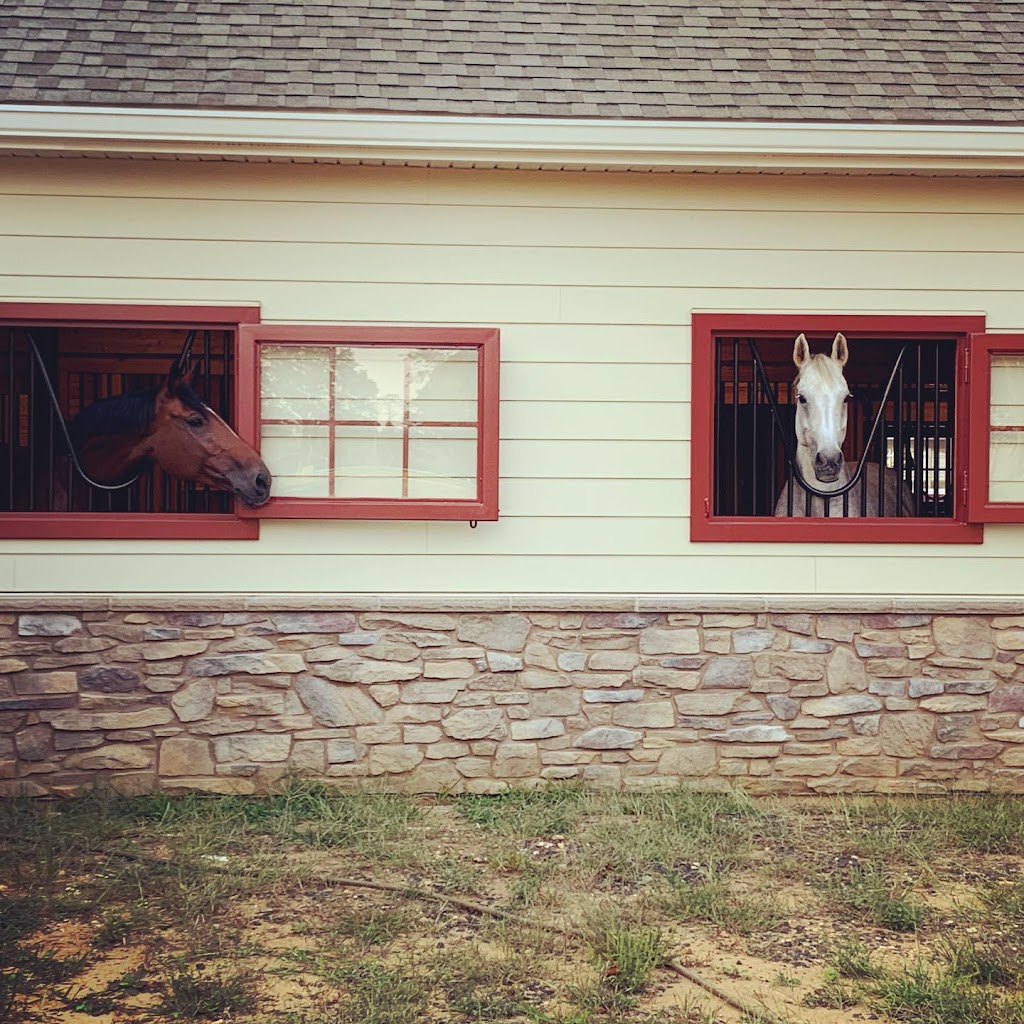 Happy Tails Therapeutic Riding | 381 County Rd 537 W, Colts Neck, NJ 07722 | Phone: (908) 839-7660