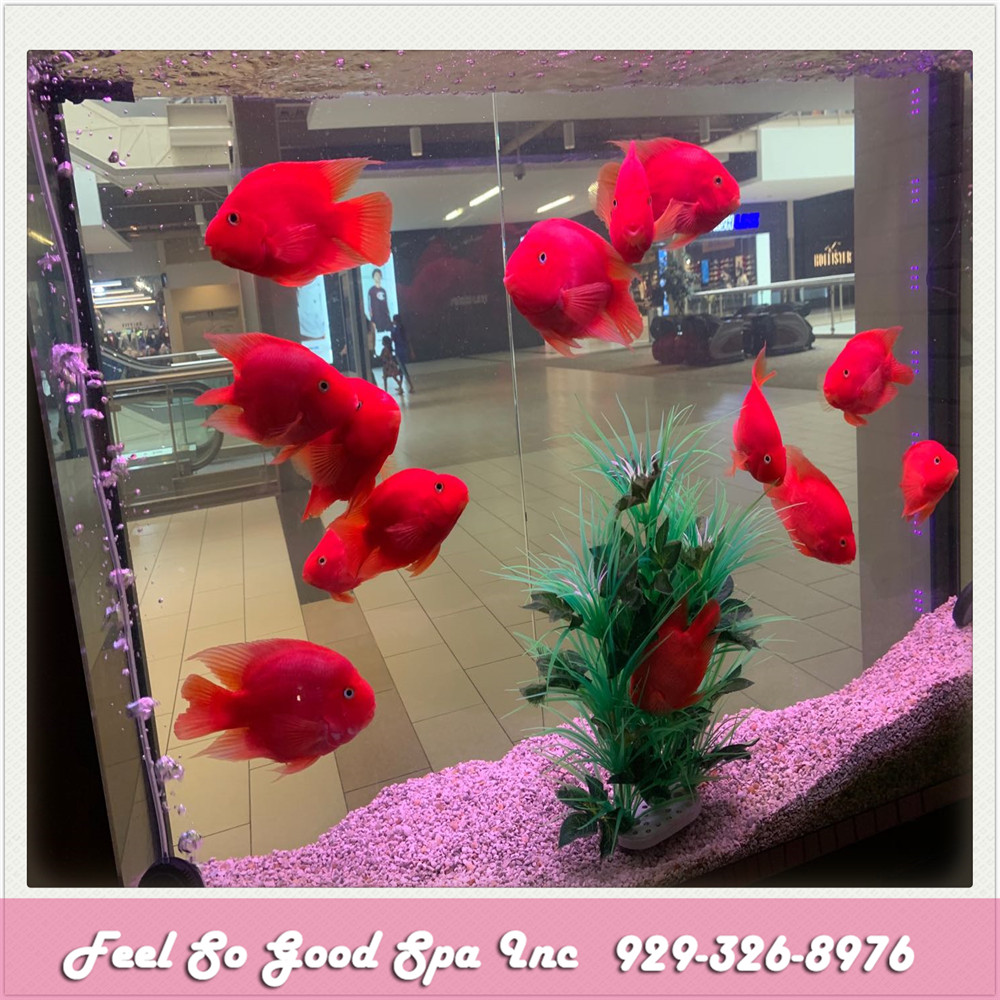 Feel So Good Spa Inc (2nd Floor of Palisades Center) | 2312 Palisades Center Dr, West Nyack, NY 10994 | Phone: (929) 326-8976