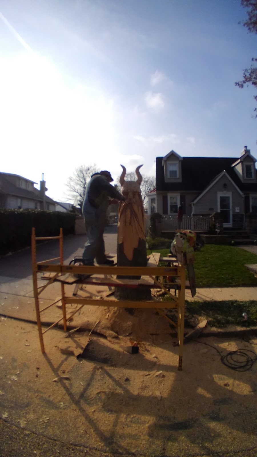 Ackmonsters Chainsaw Art | 92 W Deerfield Rd, Bridgeton, NJ 08302 | Phone: (856) 297-9400