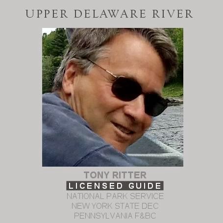 Gone Fishing Guide Service | 20 Lake St, Narrowsburg, NY 12764 | Phone: (845) 701-3894