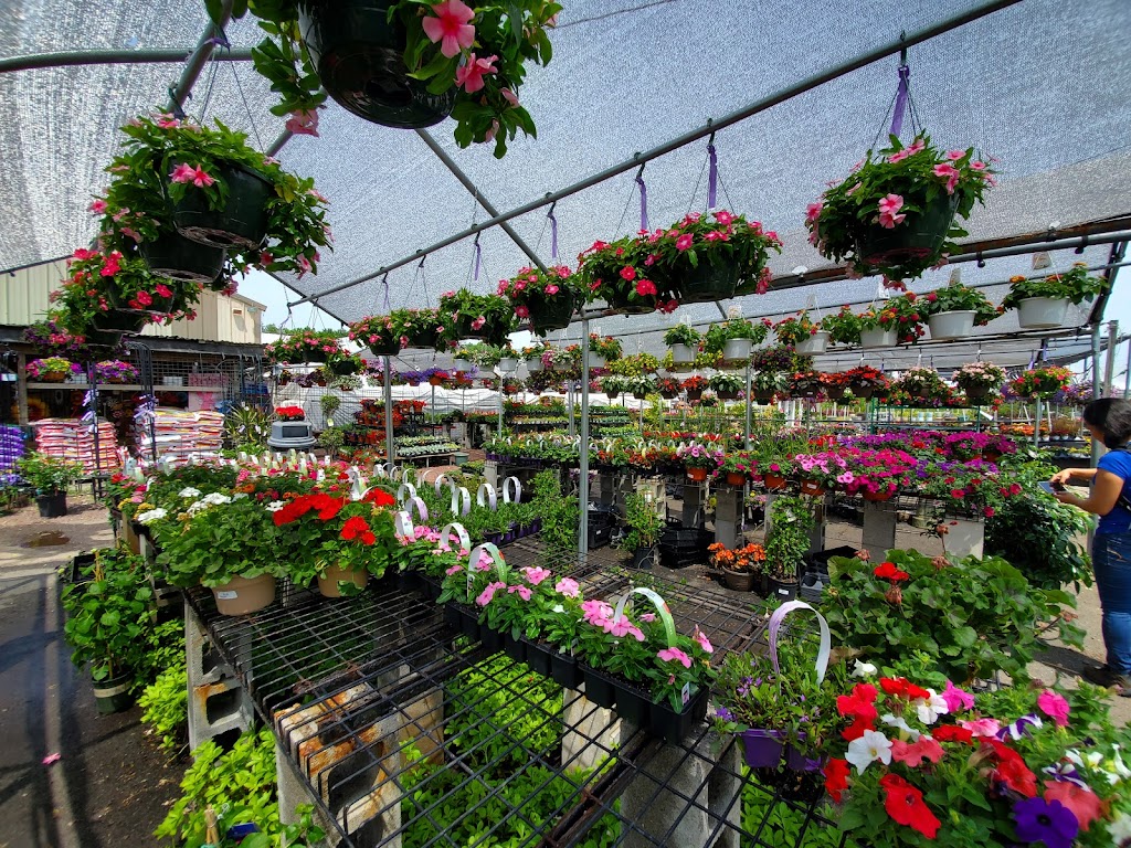 Amatos Garden Center Nursery | 47 Deans Rhode Hall Rd, Monmouth Junction, NJ 08852 | Phone: (732) 297-6790