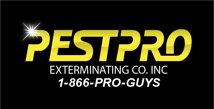 Pest Pro Exterminating | 948 Surf View Walk, Ocean Beach, NY 11770 | Phone: (631) 583-0030