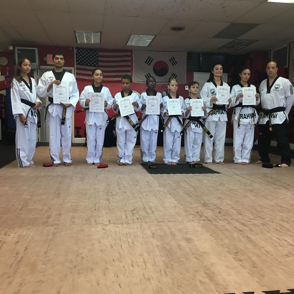 Tigers Martial Arts Academy - TMAA | 385 St Georges Ave # B, Rahway, NJ 07065 | Phone: (732) 381-1933