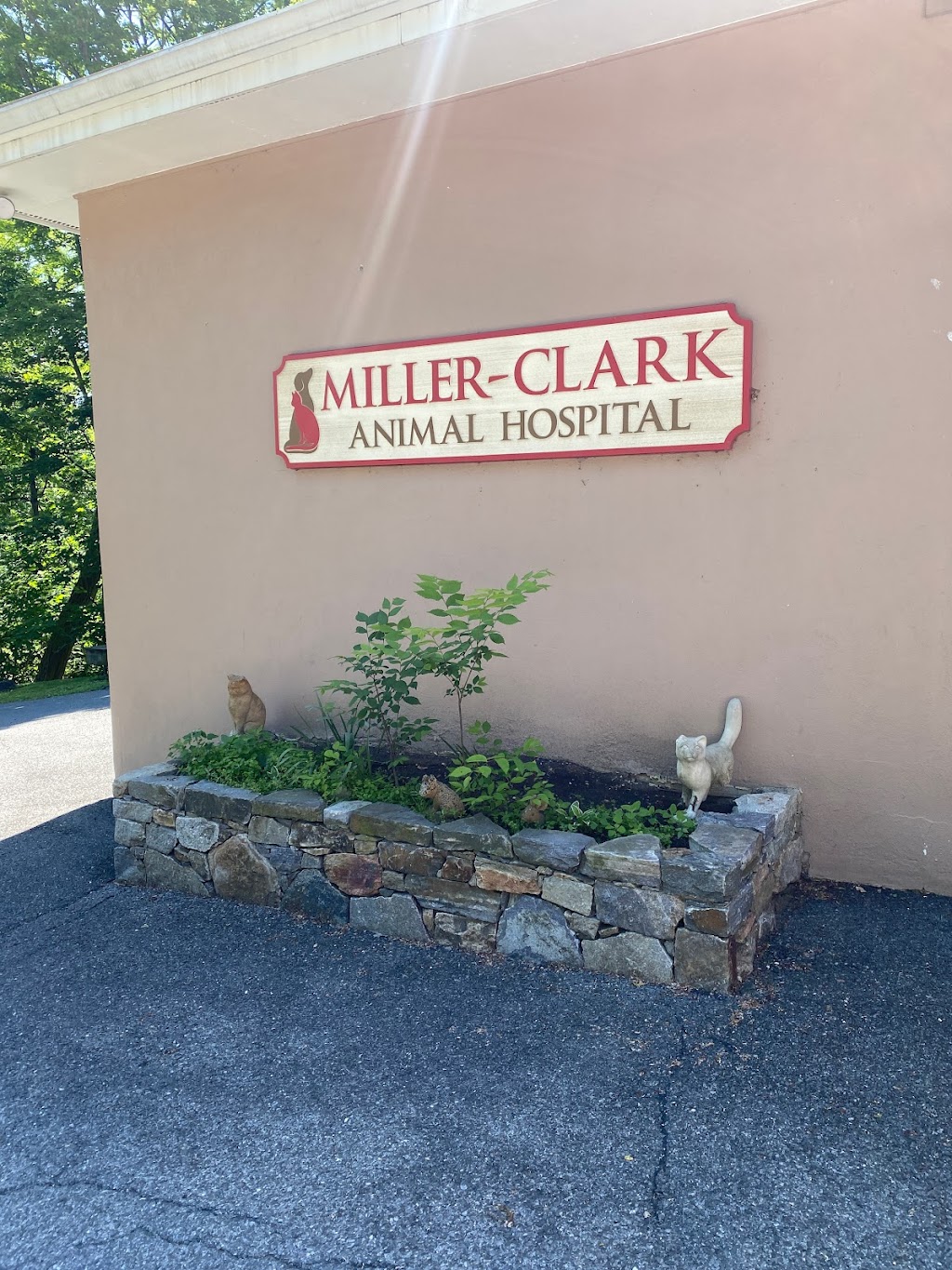 Miller Clark Animal Hospital | 1621 Harrison Ave, Mamaroneck, NY 10543 | Phone: (914) 698-1756