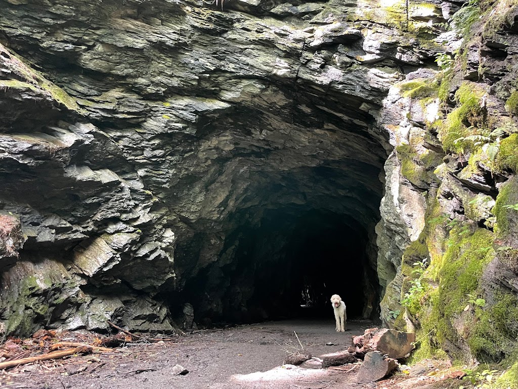 Steep Rock Preserve | 2 Tunnel Rd, Washington Depot, CT 06794 | Phone: (860) 868-9131