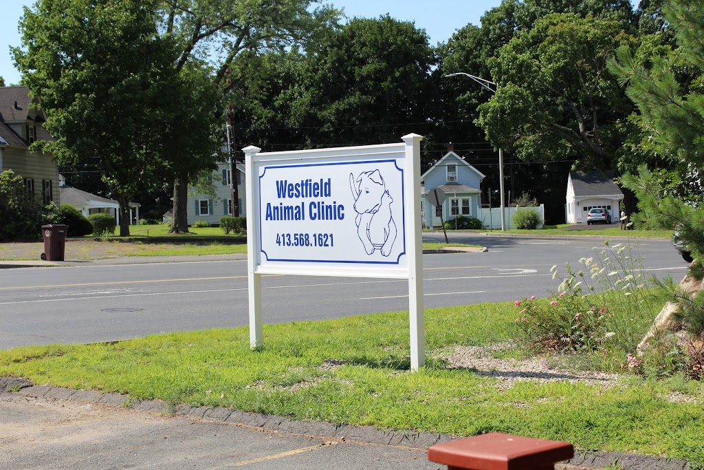 Westfield Animal Clinic | 422 N Elm St, Westfield, MA 01085 | Phone: (413) 568-1621