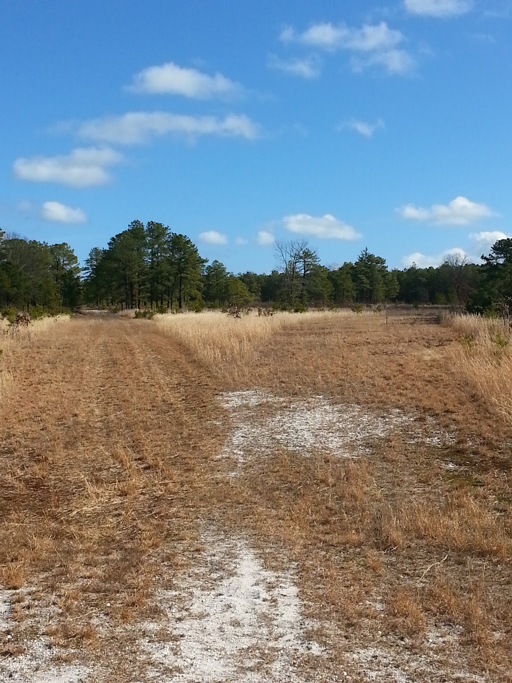 Greenwood Forest Wildlife Management Area | Barnegat, NJ 08005 | Phone: (609) 984-0547