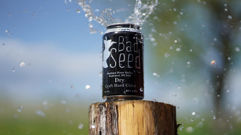 Bad Seed Cider Taproom | 43 Baileys Gap Rd, Highland, NY 12528 | Phone: (845) 236-0956