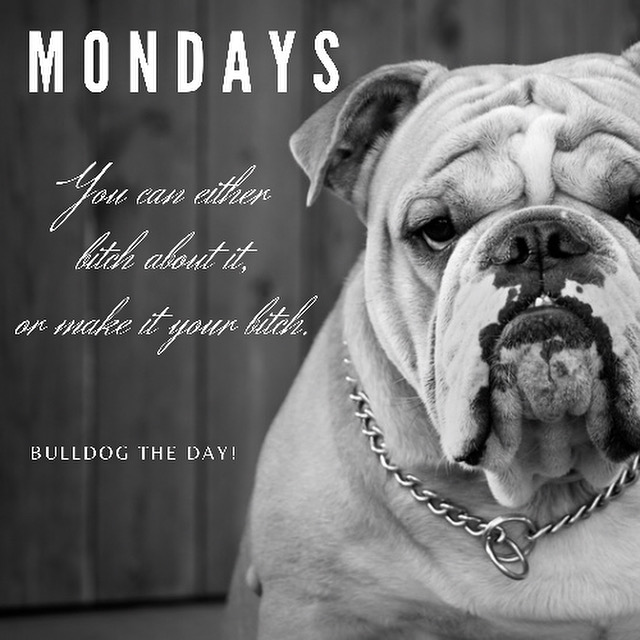 Bulldog Strength and Conditioning | 3435 US-9, Freehold, NJ 07728 | Phone: (732) 523-1895