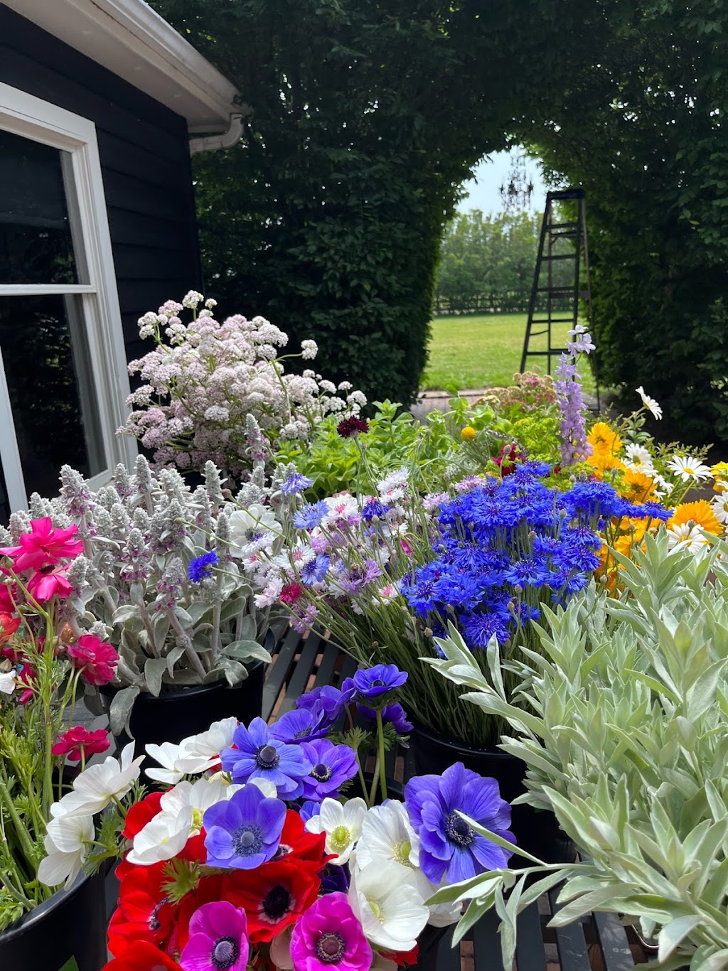 North Fork Flower Farm | 48455 Middle Road (CR, 48, Southold, NY 11971 | Phone: (631) 323-6690