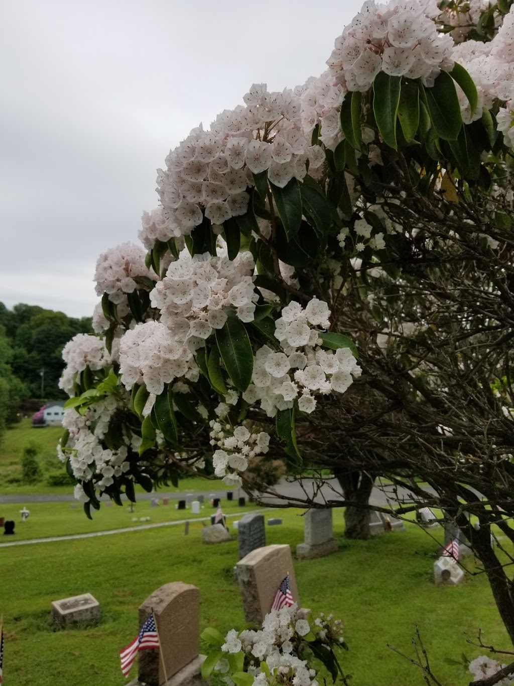 Dale Cemetery | 104 Havell St, Ossining, NY 10562 | Phone: (914) 941-1155