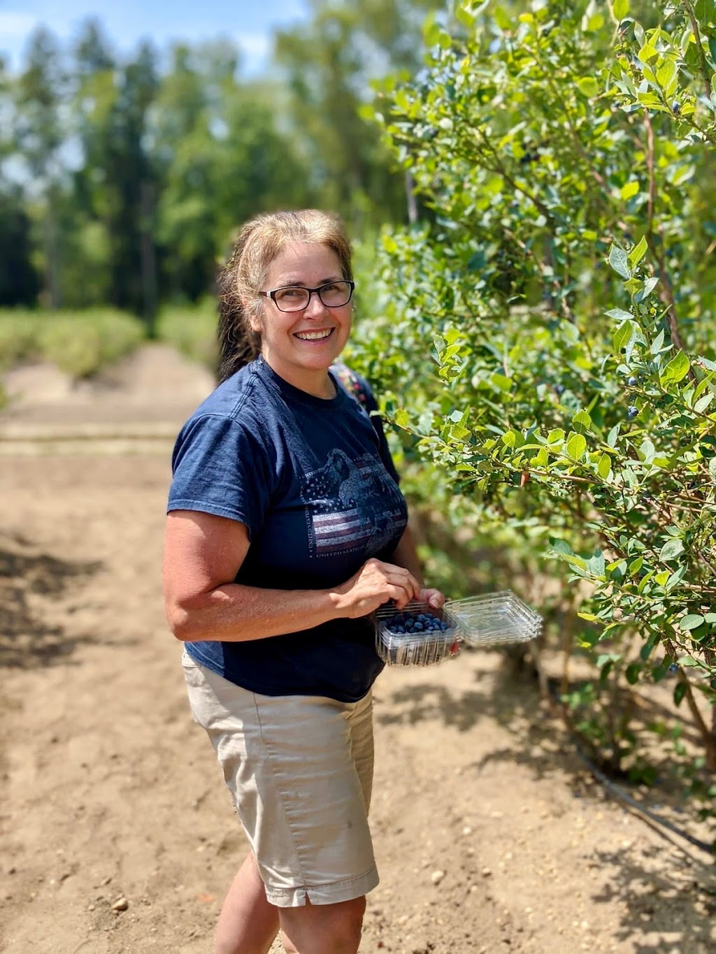 DiMeo Blueberry Farms & Blueberry Plants Nursery | 3101 Nesco Rd, Hammonton, NJ 08037 | Phone: (609) 561-5905