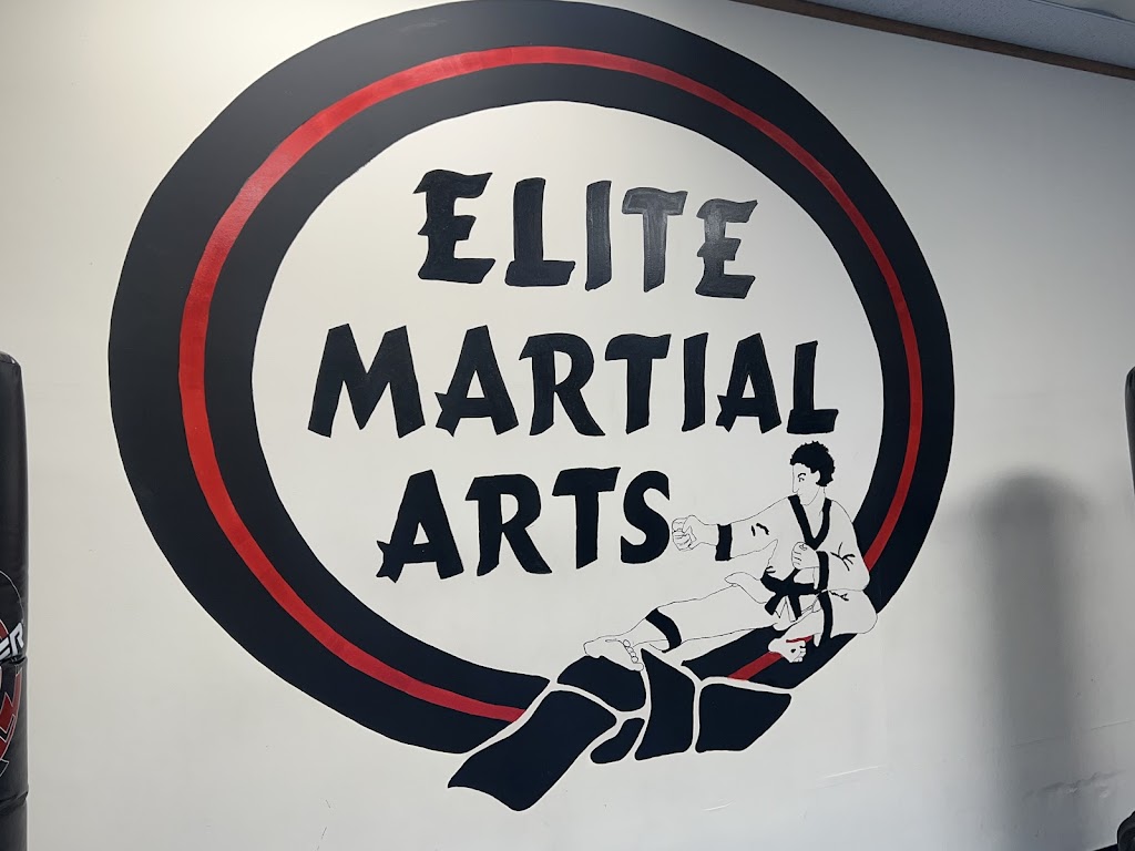 Elite Martial Arts Institute III Daleville | 432 Daleville Hwy, Covington Township, PA 18444 | Phone: (570) 470-1818