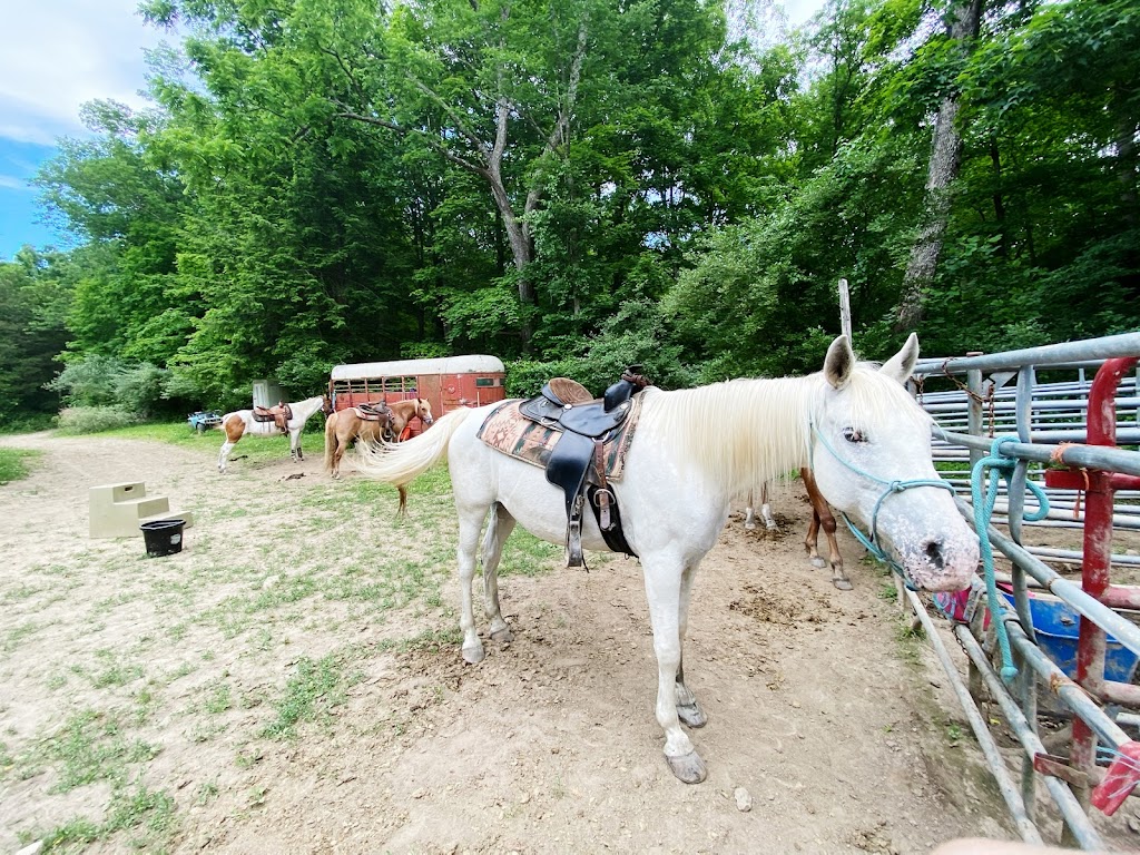 Top View Riding Ranch | 36 Hess Rd, Blairstown, NJ 07825 | Phone: (908) 362-1440