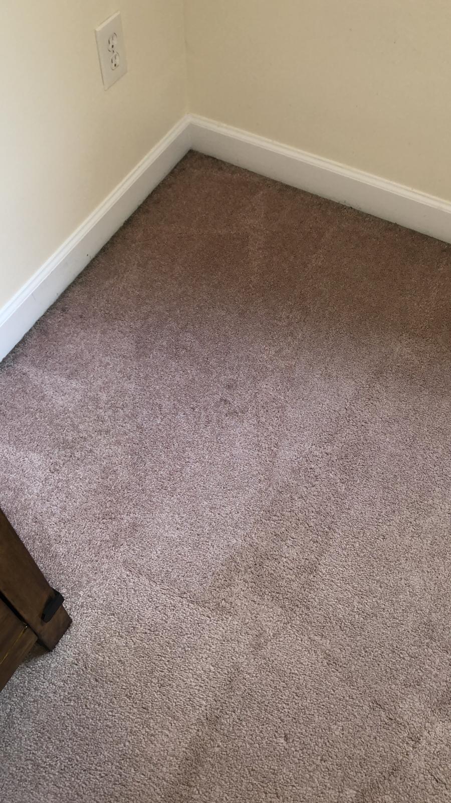 Elite Rug & Carpet Cleaning | 254 7th Ave, Brooklyn, NY 11215 | Phone: (718) 522-5104
