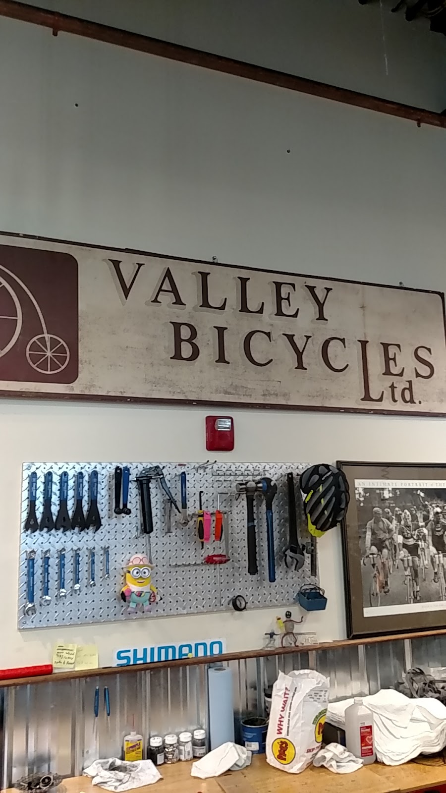 Valley Bike and Ski Werks | 173 Russell St, Hadley, MA 01035 | Phone: (413) 582-0733