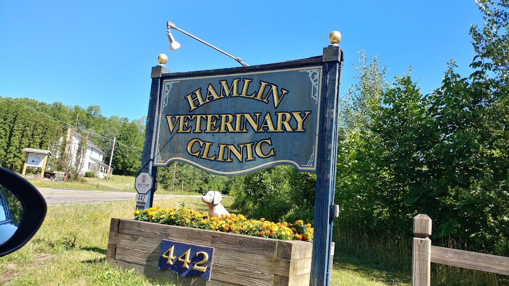 Hamlin Veterinary Clinic | 442 Easton Turnpike, Lake Ariel, PA 18436 | Phone: (570) 689-9905