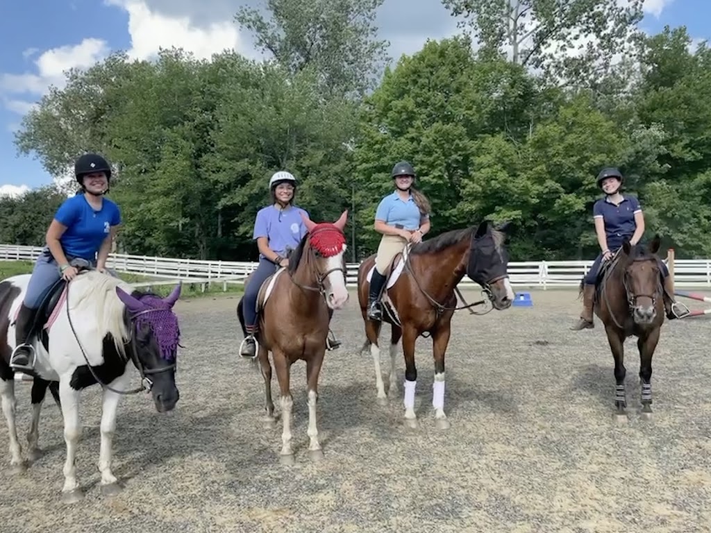 SJ Riding Camp | 130 Sandy Beach Rd, Ellington, CT 06029 | Phone: (860) 872-4742