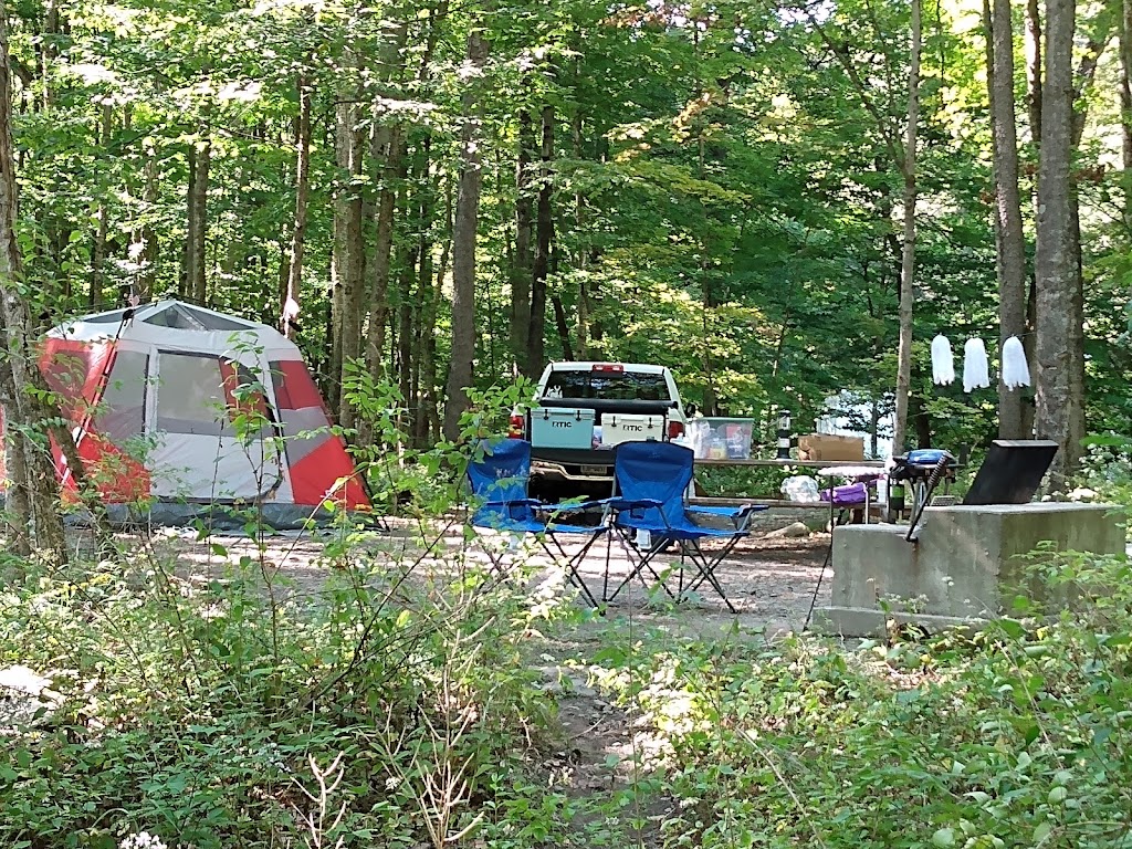 Woodland Valley Campground | 1319 Woodland Valley Rd, Phoenicia, NY 12464 | Phone: (845) 688-7647