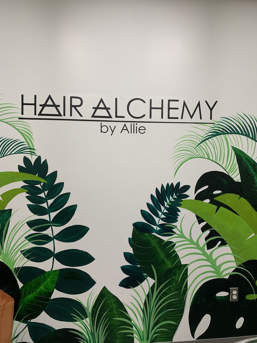 Hair Alchemy by Allie | 5321 Brandywine Pkwy Studio 7, Wilmington, DE 19803 | Phone: (302) 650-4238