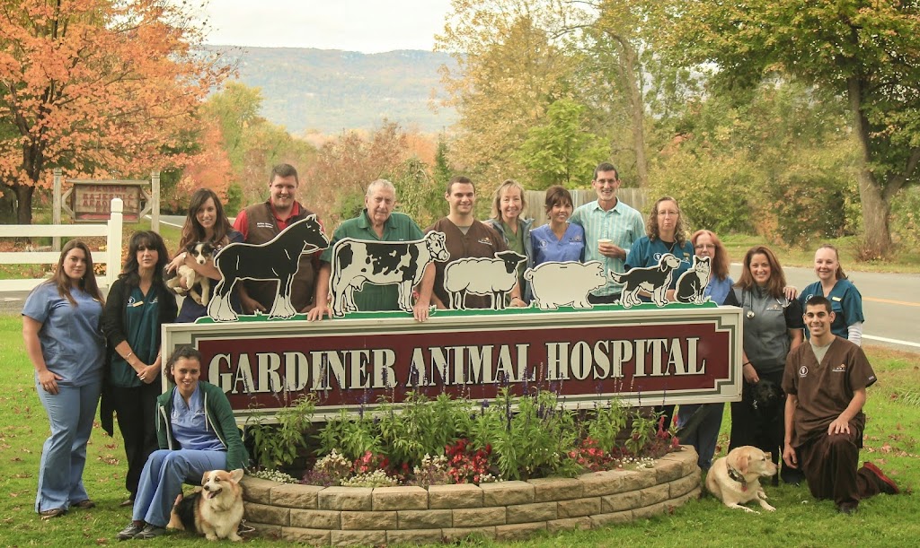 Gardiner Animal Hospital | 177 Main St, Gardiner, NY 12525 | Phone: (845) 255-1549