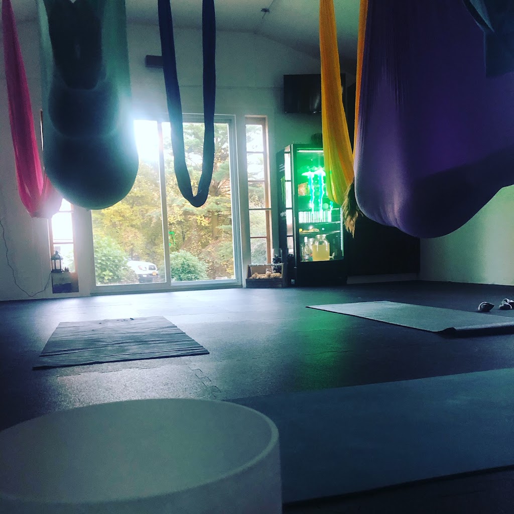 Namaste and Fly Wellness Center | 1234 Briggs Hwy, Ellenville, NY 12428 | Phone: (845) 706-5671