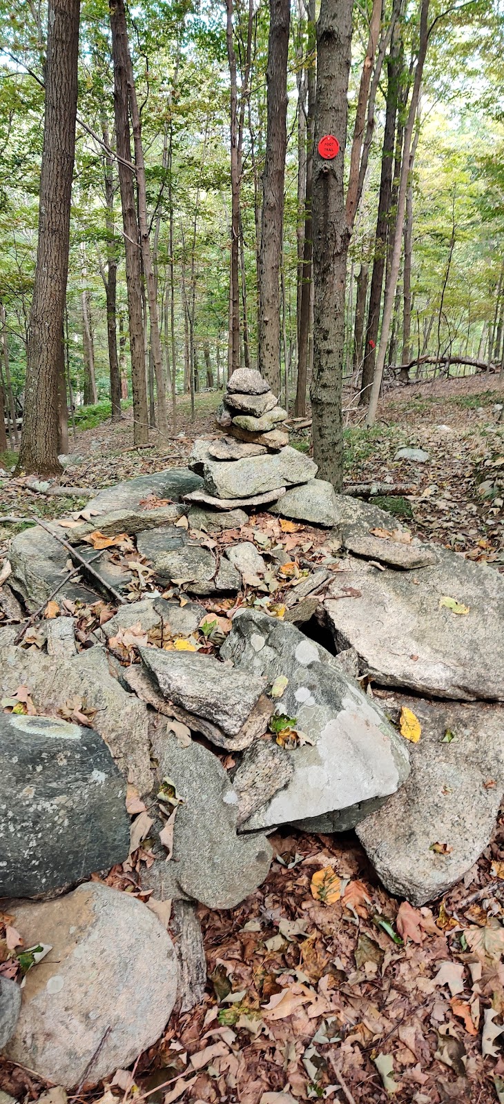 Granite Mountain Preserve | Peekskill Hollow Rd, Putnam Valley, NY 10579 | Phone: (845) 424-3358