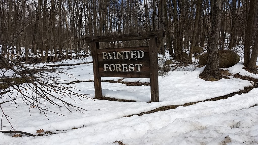 Painted Forest | Ringwood, NJ 07456 | Phone: (973) 475-7129
