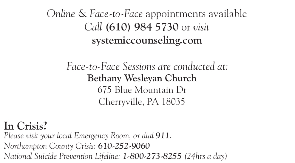 Matthew Tappers Systemic Therapy | 675 Blue Mountain Dr, Cherryville, PA 18035 | Phone: (610) 984-5730