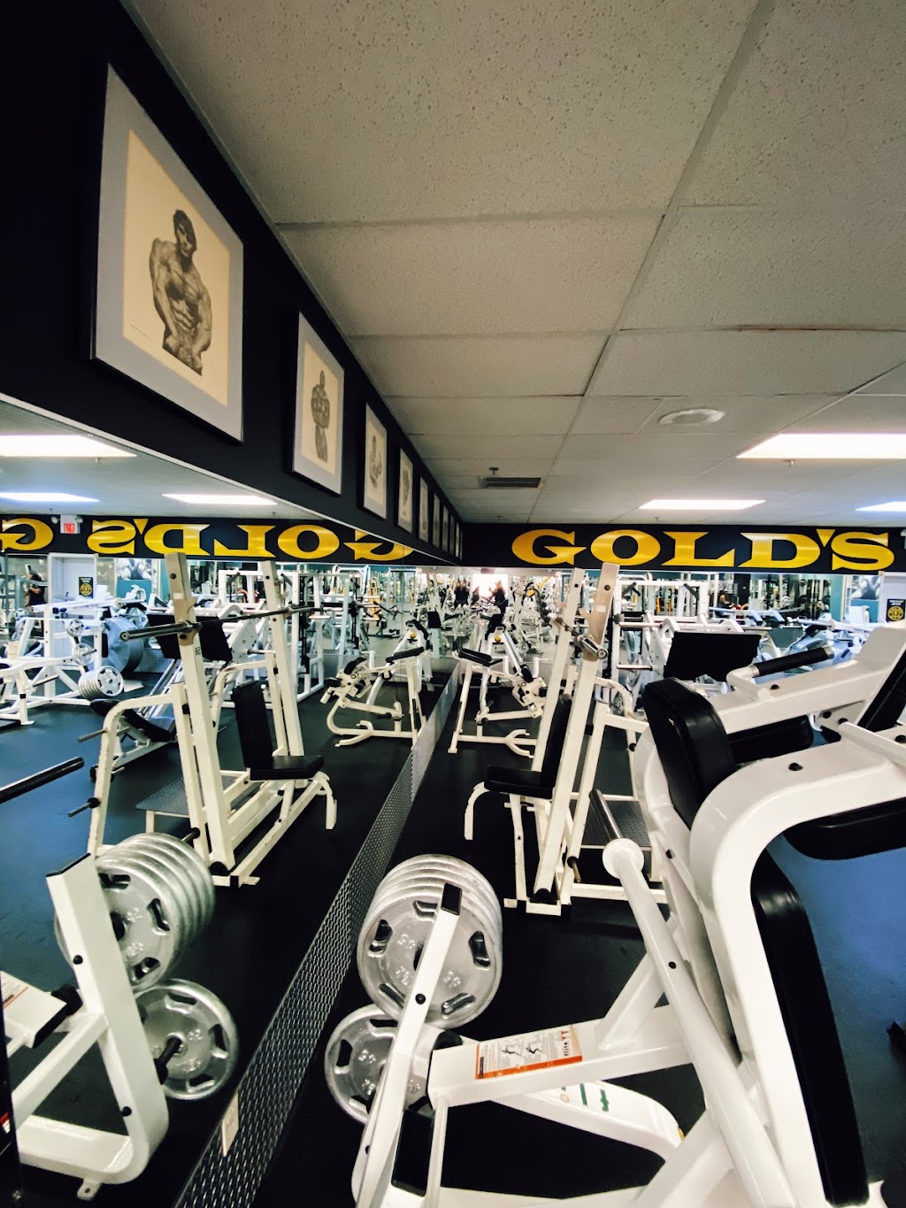 Golds Gym | 462 NJ-28, Bridgewater, NJ 08807 | Phone: (908) 595-1111