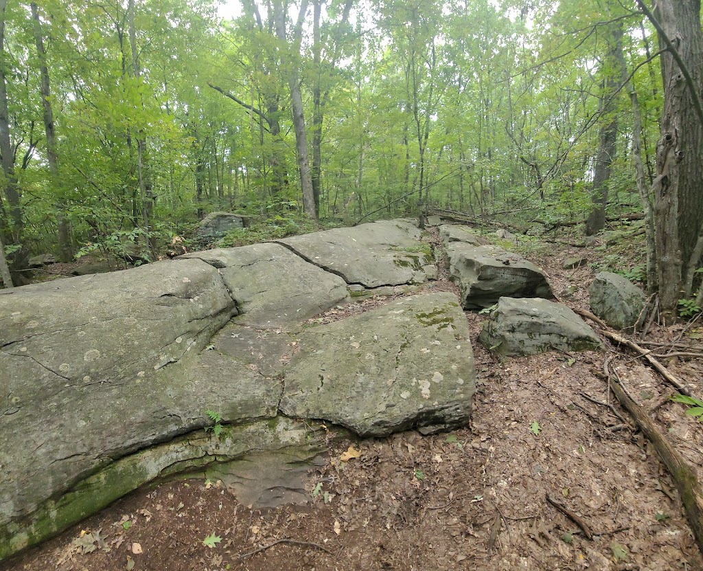 Archbald Pothole State Park | 960 Scranton Carbondale Hwy, Archbald, PA 18403 | Phone: (570) 945-3239