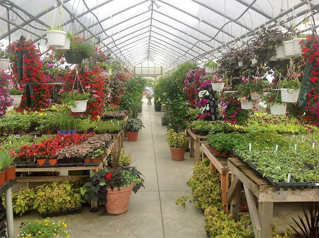Wading River Nursery and Garden Supply | 5920 N Country Rd, Wading River, NY 11792 | Phone: (631) 929-8737