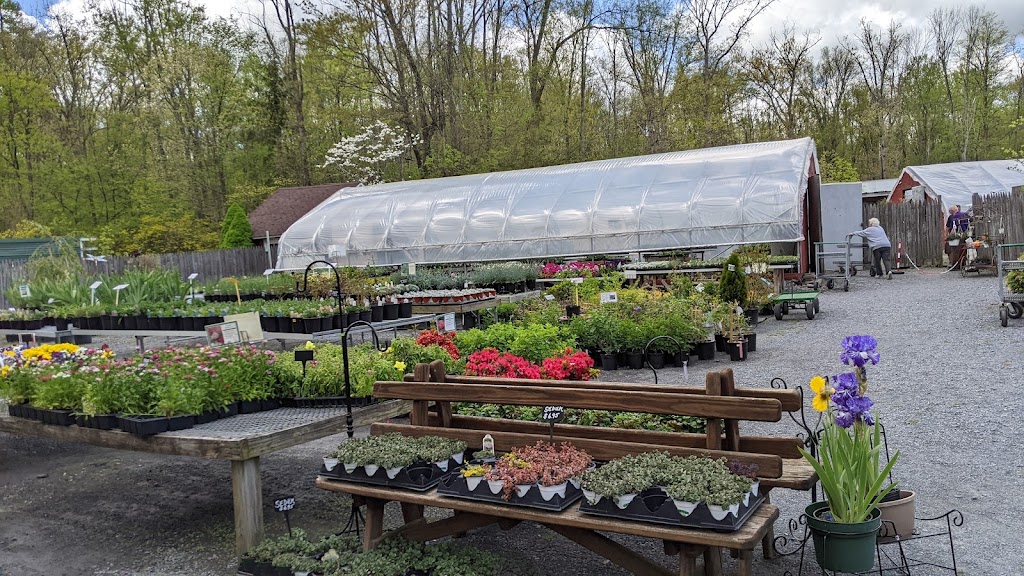 Ginder Greenhouse & Garden Center Inc. | 558 Lake Minsi Dr, Bangor, PA 18013 | Phone: (610) 588-0222