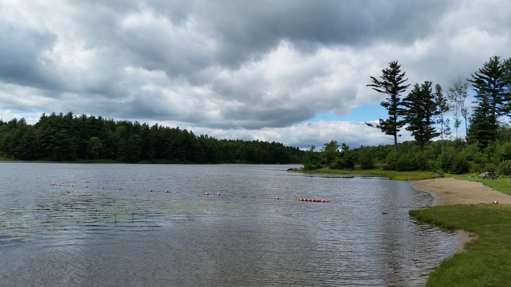 Sandisfield State Forest | York Lake Road, Sandisfield, MA 01255 | Phone: (413) 229-8212