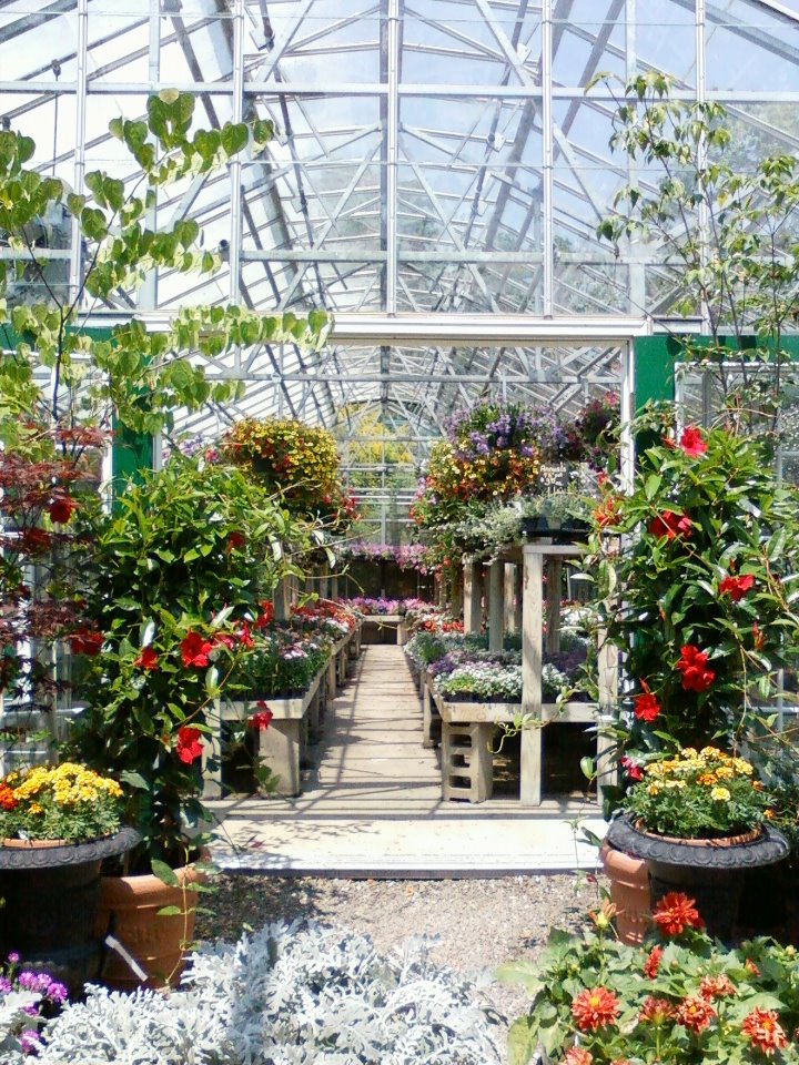 Toms Greenhouses and Florist | 123 Montgomery St, Goshen, NY 10924 | Phone: (845) 294-5233