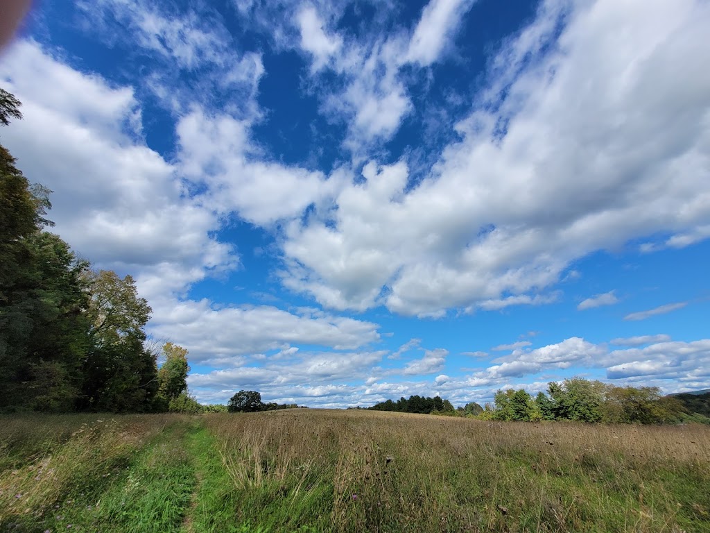 Schunnemunk Mountain Trail Head | 17 Taylor Rd, New Windsor, NY 12553 | Phone: (845) 351-5907