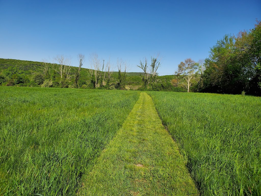 Holcomb Farm CSA Farm & Farm Store | 111 Simsbury Rd, West Granby, CT 06090 | Phone: (860) 844-8616