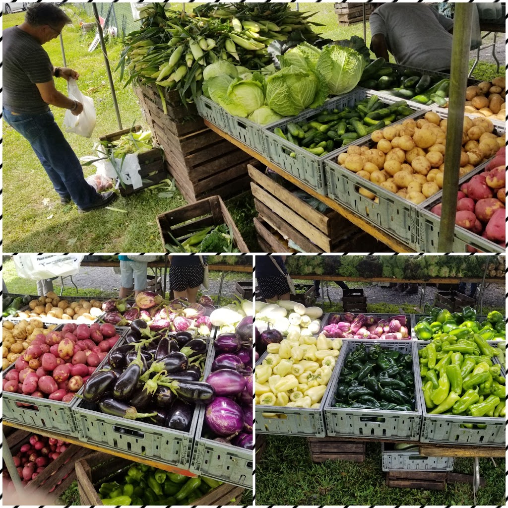 Florida NY Farmers Market | Florida, NY 10921 | Phone: (845) 321-0830