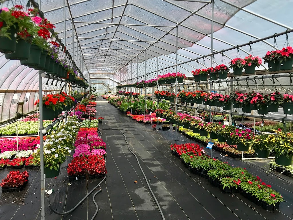 Galloway Nursery | 1121 Aloe Street, Egg Harbor City, NJ 08215 | Phone: (609) 965-2071