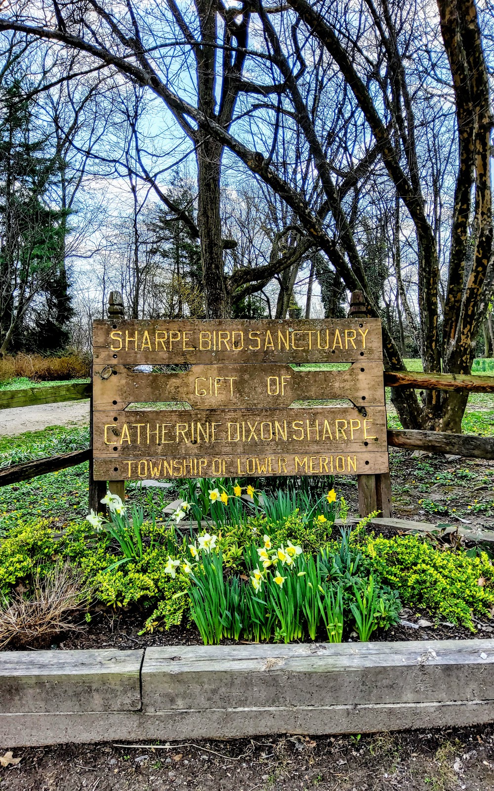 Sharpe Park and Bird Sanctuary | 405 Montgomery Ave, Haverford, PA 19041 | Phone: (610) 649-4000