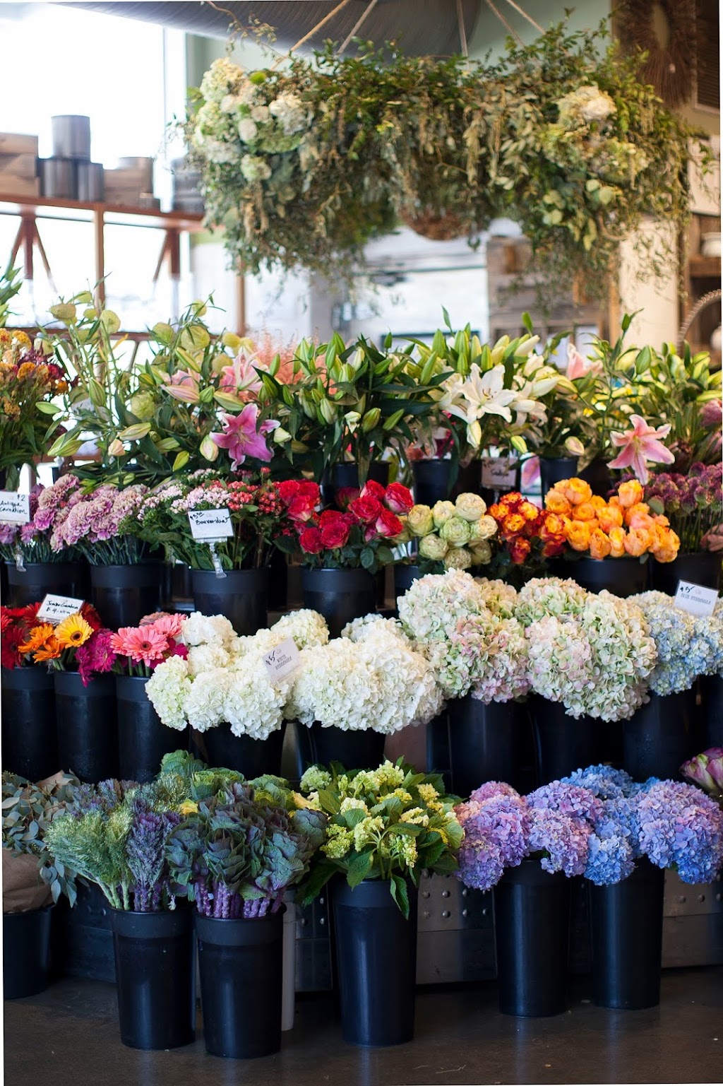 Argyle Floral Home and Garden | 346 W Lancaster Ave, Haverford, PA 19041 | Phone: (484) 422-8553