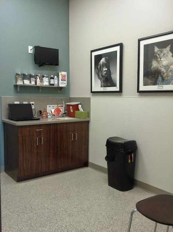 Central Veterinary Center | 4275 County Line Rd #24, Chalfont, PA 18914 | Phone: (215) 692-8954